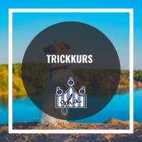 Trickskurs