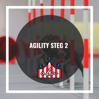 Agility steg 2 på Alingsås Hundarena