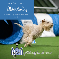 Blåbärstävling på Göteborgs hundarena