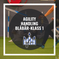 Agility Handling Blåbär-Klass 1