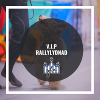 V.I.P  Rallylydnad nybörjarklass steg 1
