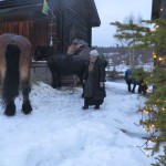 IMG_1366