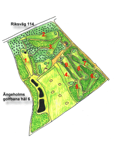 Delaktig i designen av Furutorps Golfs korthålsbana. Delaktig i designen av Furutorps Golfs korthålsbana.