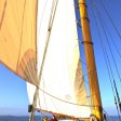 New sails