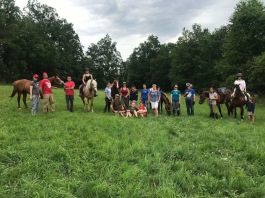 Det uppstod många bra diskussioner bland de deltagnde tränarna, när de fick möjlighet att fokusera enbart på hästarna. Foto: Arch-ed Det uppstod många bra diskussioner bland de deltagnde tränarna, när de fick möjlighet att fokusera enbart på hästarna. Foto: Arch-ed