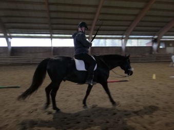 Det är roligt att dressyrhästägarna också börjar hitta till oss! Denna halvblodsvalack var fantastiskt lugn och gick bettlöst. Foto: cyroo.se Det är roligt att dressyrhästägarna också börjar hitta till oss! Denna halvblodsvalack var fantastiskt lugn och gick bettlöst. Foto: cyroo.se