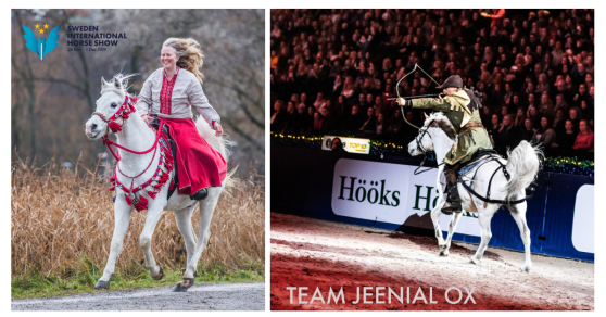 För tredje året i rad får Jeenial äran att representera det Arabiska Fullblodet på Sweden International Horse Show! Detta året, precis som förra, tillsammans med Nazira. Foto: Therese Hübner För tredje året i rad får Jeenial äran att representera det Arabiska Fullblodet på Sweden International Horse Show! Detta året, precis som förra, tillsammans med Nazira. Foto: Therese Hübner