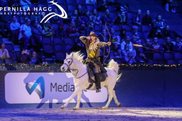Horse Show är nog det mest spektakulära man kan uppleva i Sverige - mycket publik och massor som händer runt omkring! Foto: Pernilla Hägg Horse Show är nog det mest spektakulära man kan uppleva i Sverige - mycket publik och massor som händer runt omkring! Foto: Pernilla Hägg