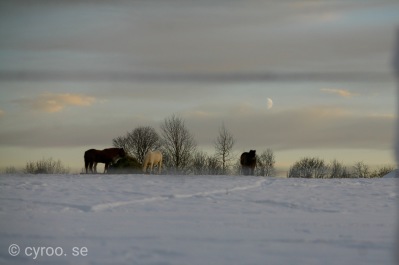 I ett år har vi haft den gamla och den nya hemsidan parallellt, idag stänger vi ner den gamla! Foto: cyroo.se I ett år har vi haft den gamla och den nya hemsidan parallellt, idag stänger vi ner den gamla! Foto: cyroo.se