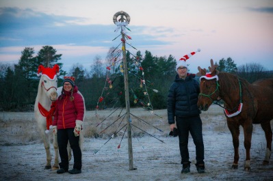 Ett utmanande år kräver en annorlunda gran. Vi önskar er en fridefull jul, ta hand om er! /Team DHA Foto: cyroo.se Ett utmanande år kräver en annorlunda gran. Vi önskar er en fridefull jul, ta hand om er! /Team DHA Foto: cyroo.se