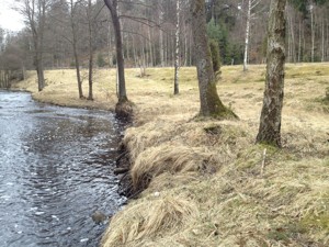 Slänten ner mot ån bildar en naturlig scen.