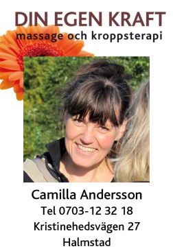 Camilla Andersson, Mentor of Transfigura Method, Diplomerad massör och Grafisk formgivare