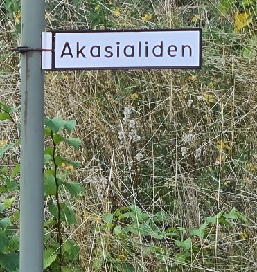 Enda gatan med det namnet i Sverige och hela världen!