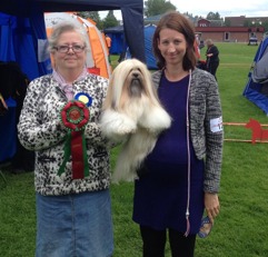 Whisborne Swarovski New Swedish Champion ! Whisborne Swarovski New Swedish Champion !