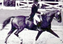 Maud von Rosen under OS 1972