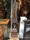 UNADJUSTEDNONRAW_thumb_1e18