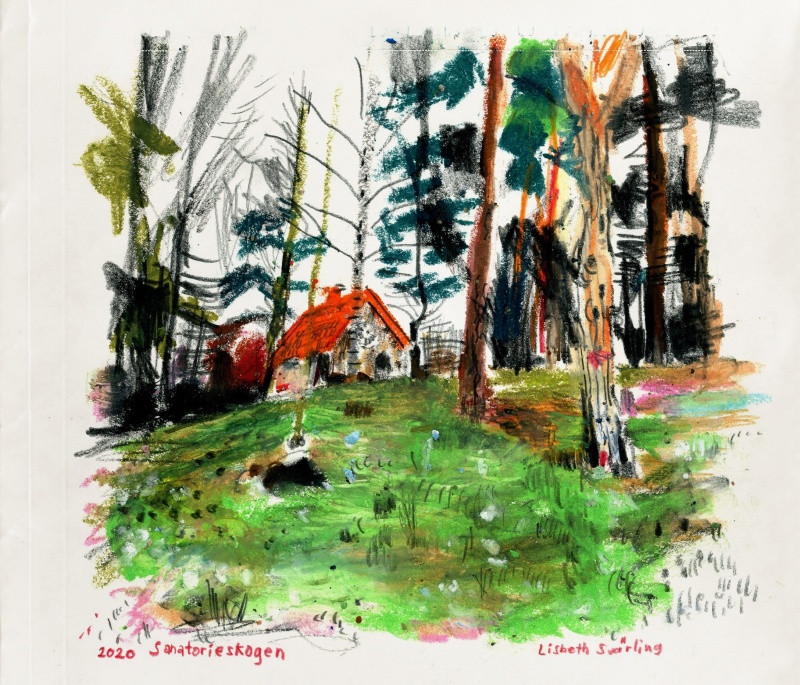 Sanatorieskogen den sista resten. Sanatorieskogen den sista resten.