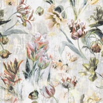 Tulipa Stellata Birch XL PG9