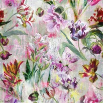 Tulipa Stellata Fuchsia XL PG9