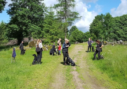 Hundträning med våtmarker för vattenträning & naturskönt boende i Ullared, Halland