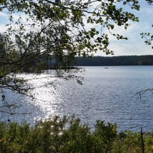 Sjön
