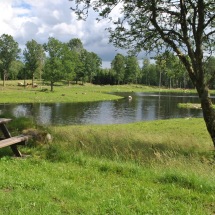 Våtmark