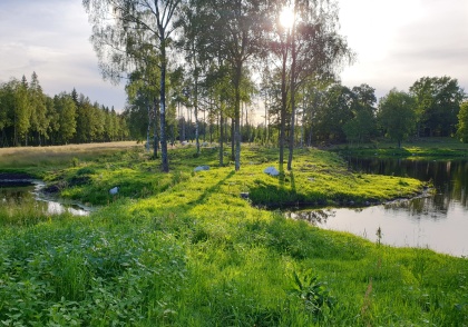 Våtmarker för vattenträning med hund utanför Ullared i Halland