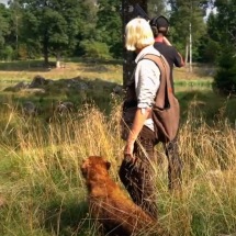 Hundträning apportering 