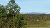 Hemåt ner till Funäsdalen Hemåt ner till Funäsdalen
