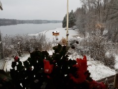 Vinter Vinter