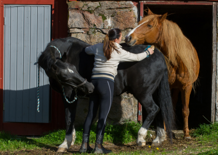 MYS I HÖSTSOLEN!!