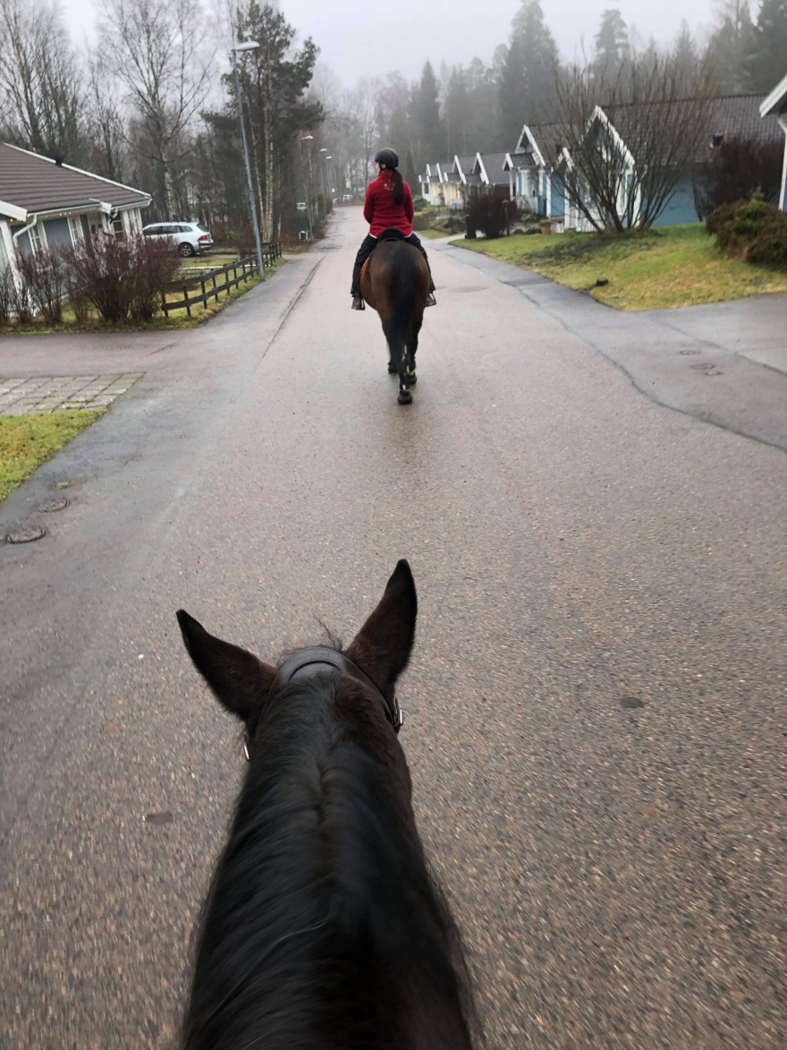 Ritt genom byn med Emma på juldagen Ritt genom byn med Emma på juldagen