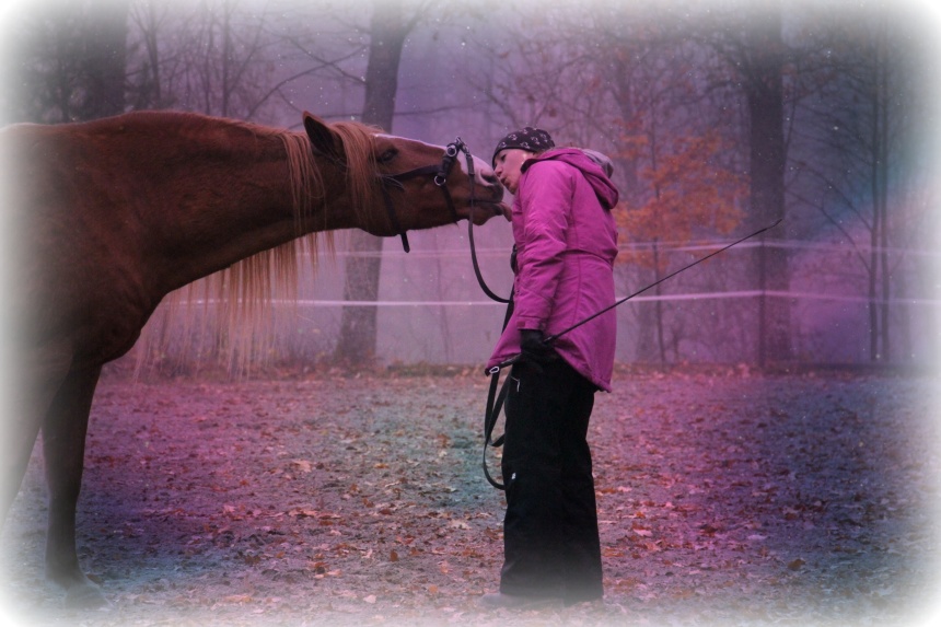Favorit i repris. Zorro :) Favorit i repris. Zorro :)
