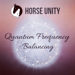 Horse Unity Quantum Frequency Balancing ®️