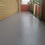 IMG_1781