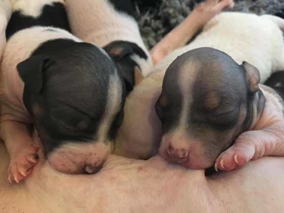 Greta och Putte Greta och Putte