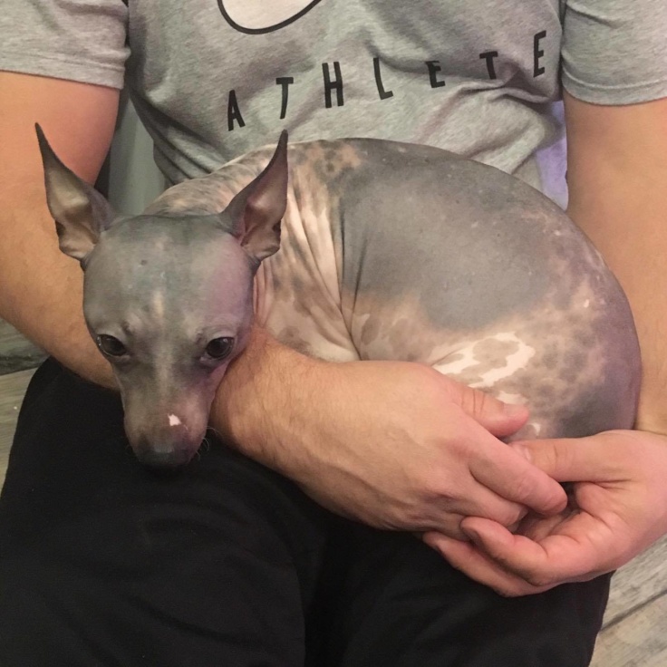 Vill helst krysta i Jakops knä Vill helst krysta i Jakops knä