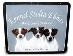 Stolta Ebbas Kennel i  pulverlackerad aluminium  65*55 cm