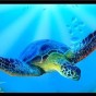 Turtle Sealife airbrushstencil - Turtle sealife