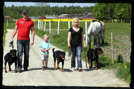 Of Course It's Azalea, Henrik, Alexander, Of Course It's Best in show Bim-Bim, jag och KORAD Allimacstopets Froja. Sommaren 2012 Of Course It's Azalea, Henrik, Alexander, Of Course It's Best in show Bim-Bim, jag och KORAD Allimacstopets Froja. Sommaren 2012