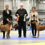 Nikki at her 2nd BOS placement, getting her first Cacib