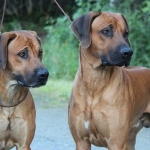 Lego (to the right) with his brother Mario