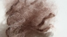 western wanted , westernutrustning sadelgjord mohair western wanted , westernutrustning sadelgjord mohair