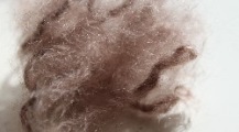 western wanted , westernutrustning sadelgjord mohair western wanted , westernutrustning sadelgjord mohair