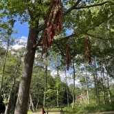 Kuttersmycke, Ängelsbergs skulpturpark 2024