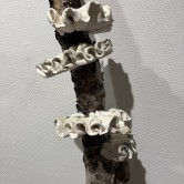 Fragment, Enköpings Konsthall 2026