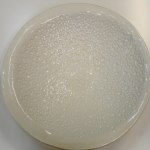 DSC01760