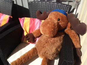 Njuter i solen efter ett bad i Eskilstuna-ån. Njuter i solen efter ett bad i Eskilstuna-ån.