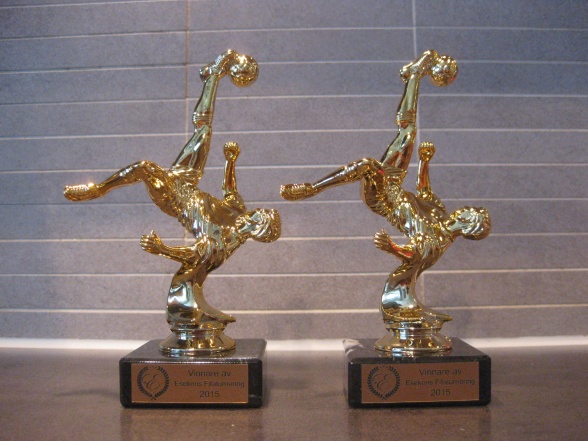 Bild: Pokaler som delas ut till vinnare av Esekons fifaturnering 2015.