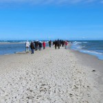 20220917_Folkvandring till Grenen
